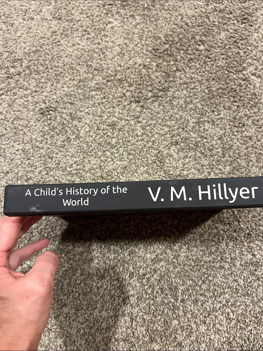 A Child’s History of the World book